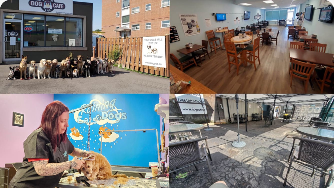 Bring Your Dog Cafe